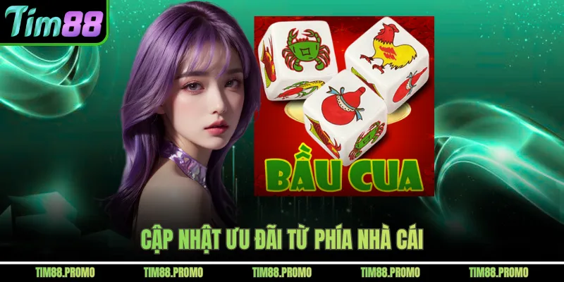 Cập nhật ưu đãi từ phía nhà cái