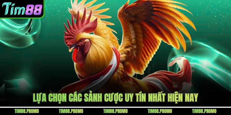 Lựa chọn các sảnh cược uy tín nhất hiện nay