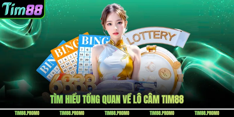 Tìm hiểu tổng quan về lô câm Tim88